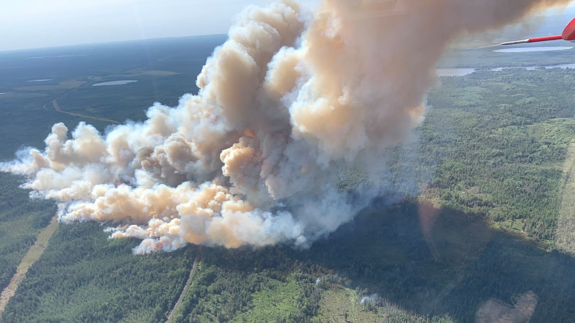 Home and cabin owners near McDougal Lake have been evacuated as a fast-moving wildfire continues to advance in northeastern Minnesota, pushed by gusting winds.