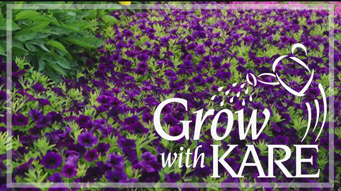 Grow with KARE Top 10 Annuals, from U of M Research