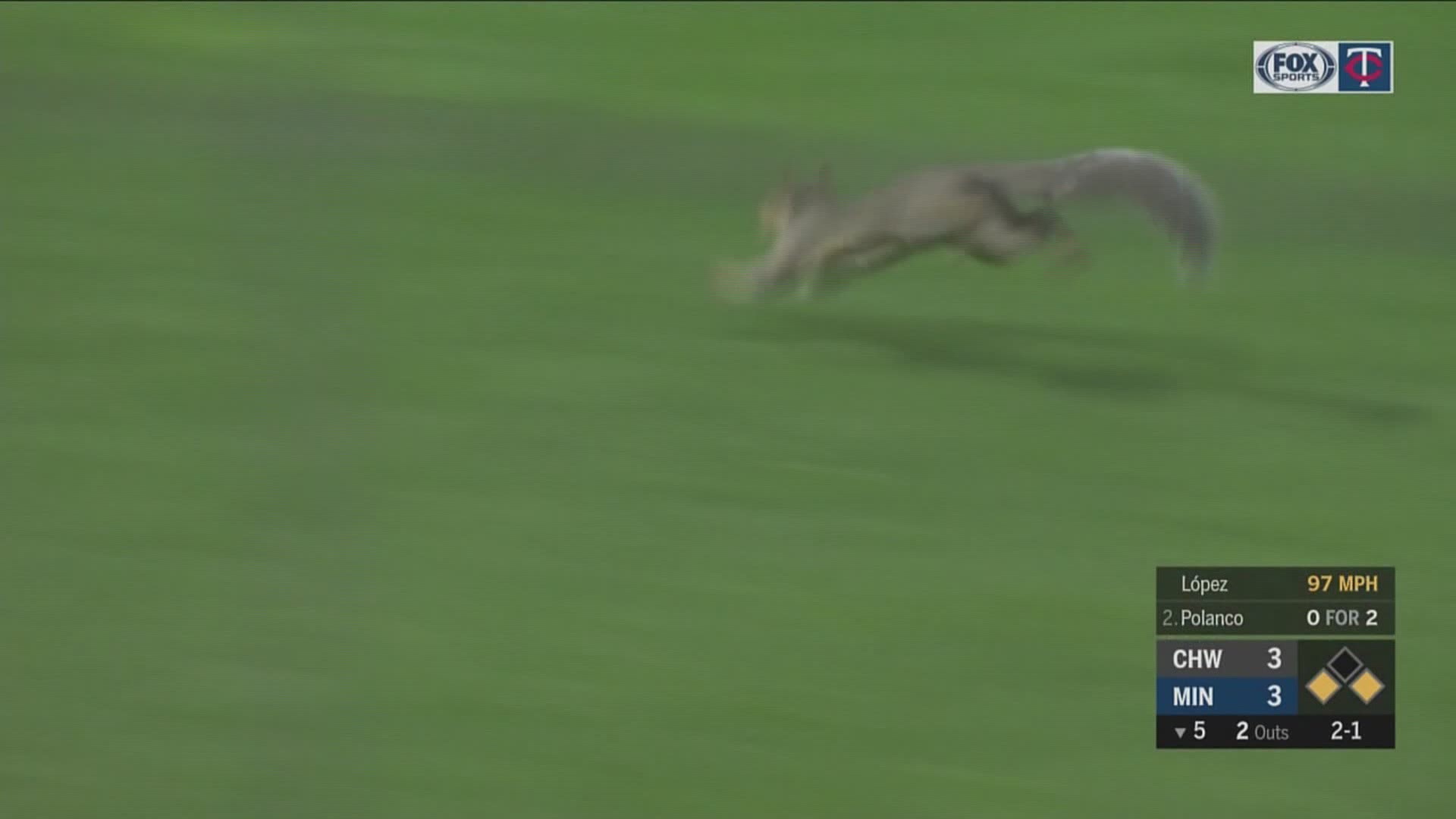On Tuesday night at Target Field, a squirrel darted between the legs of Twins outfielder Max Kepler and into the hearts of fans.