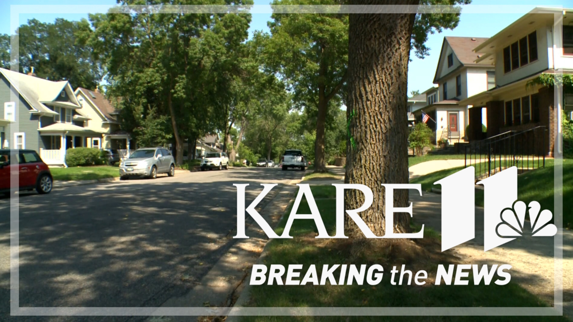 DNR data shows loss in Twin Cities tree cover | kare11.com