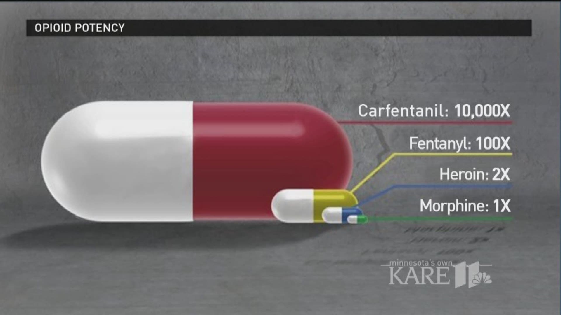 5 more carfentanil deaths identified in Hennepin County