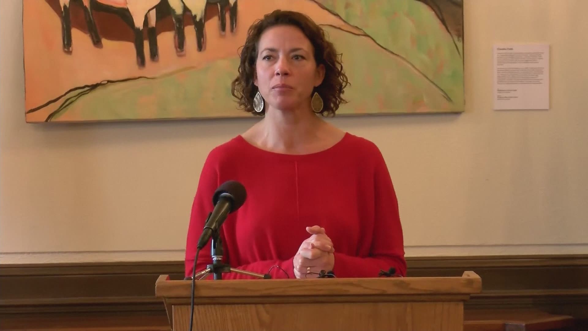 Duluth Mayor Emily Larson is apologizing to residents for what she calls the city's slow response to last weekend's blizzard.