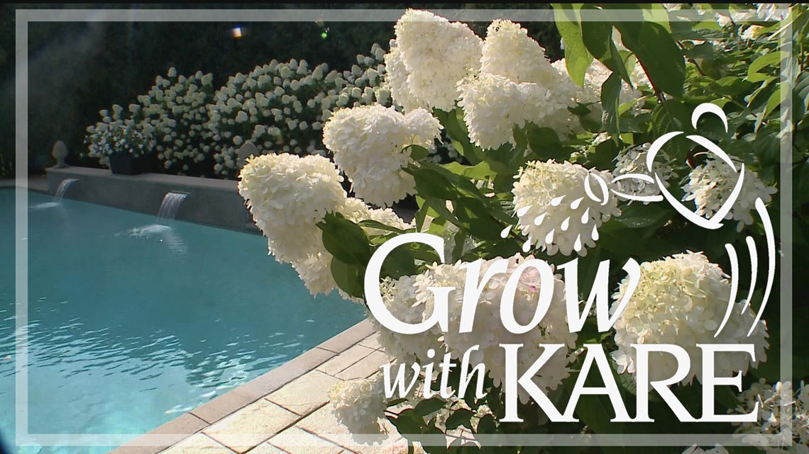 Grow with KARE | Benefits of a white garden