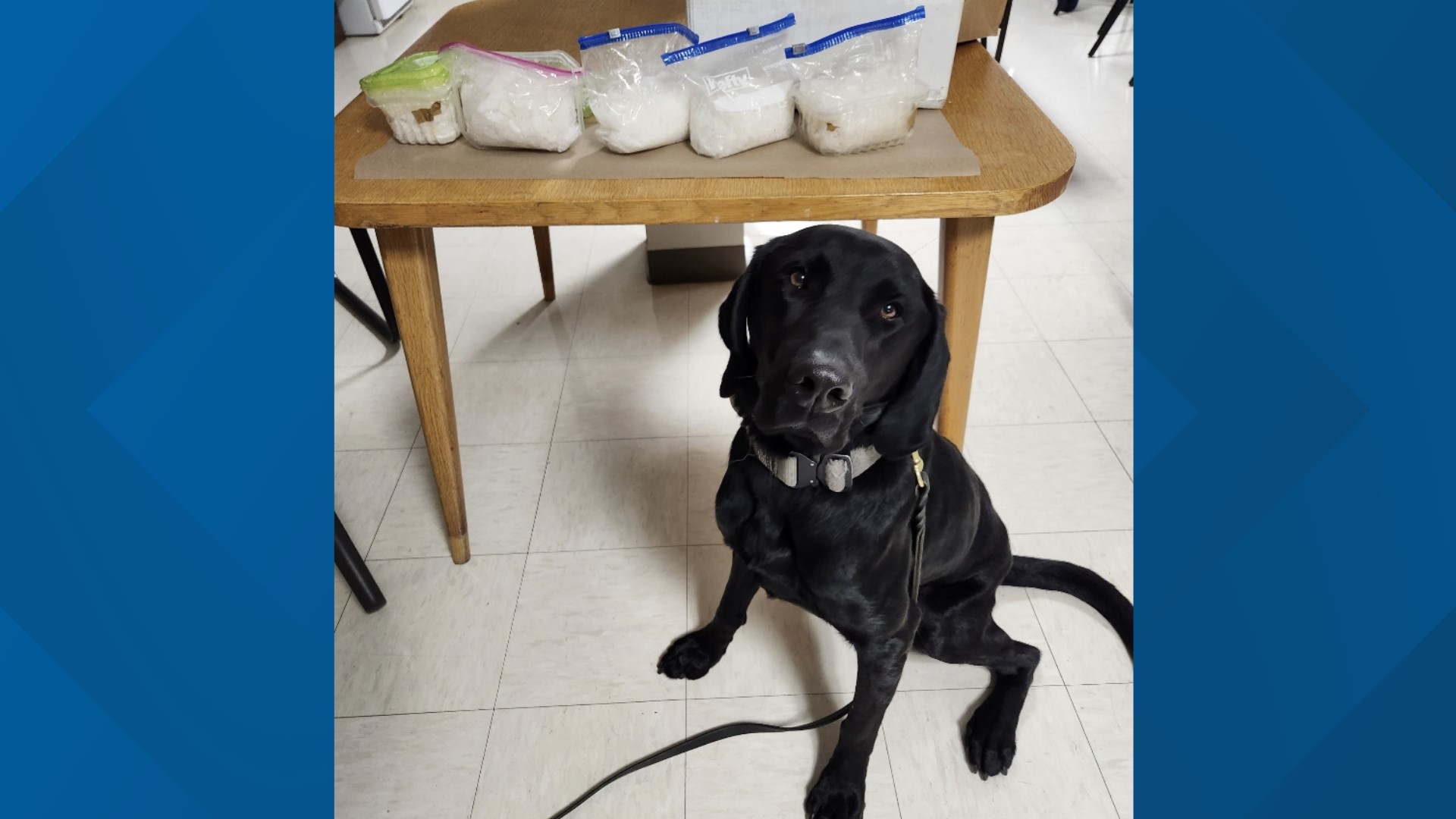 K9 Helps Find Meth Inside Package At Hibbing Post Office 