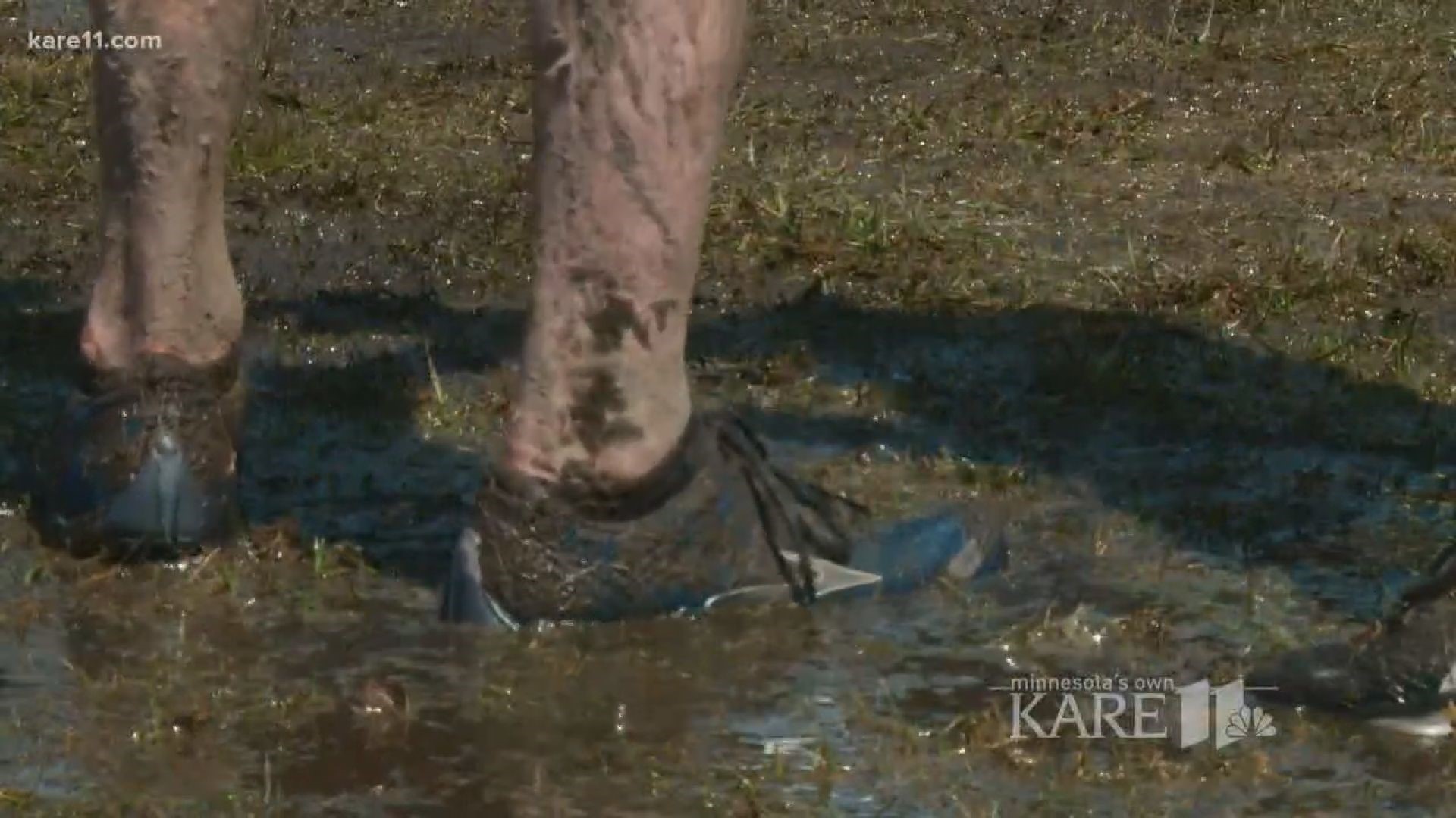 700 runners face muddy Trail Mix Race