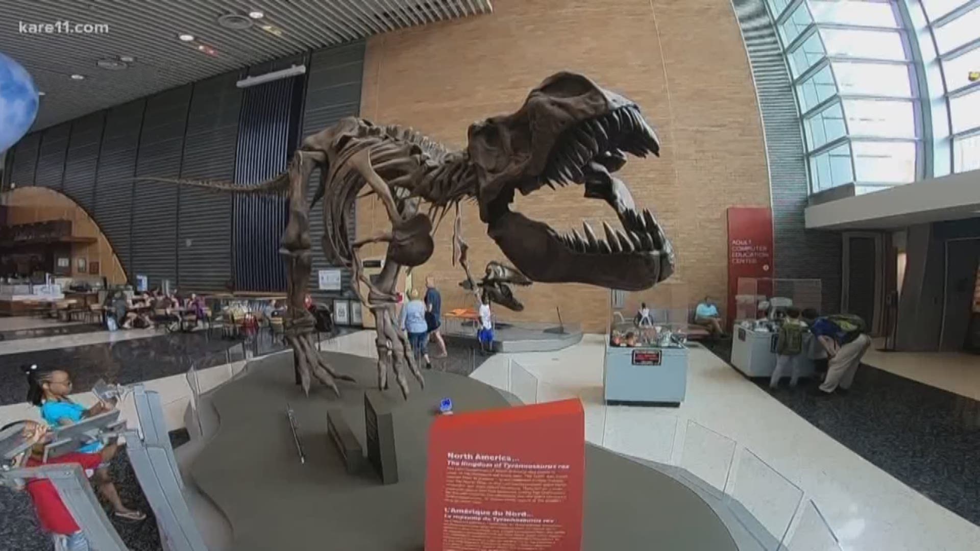 The Science Museum is getting ready to kick off a new summer tradition: Dino Fest.