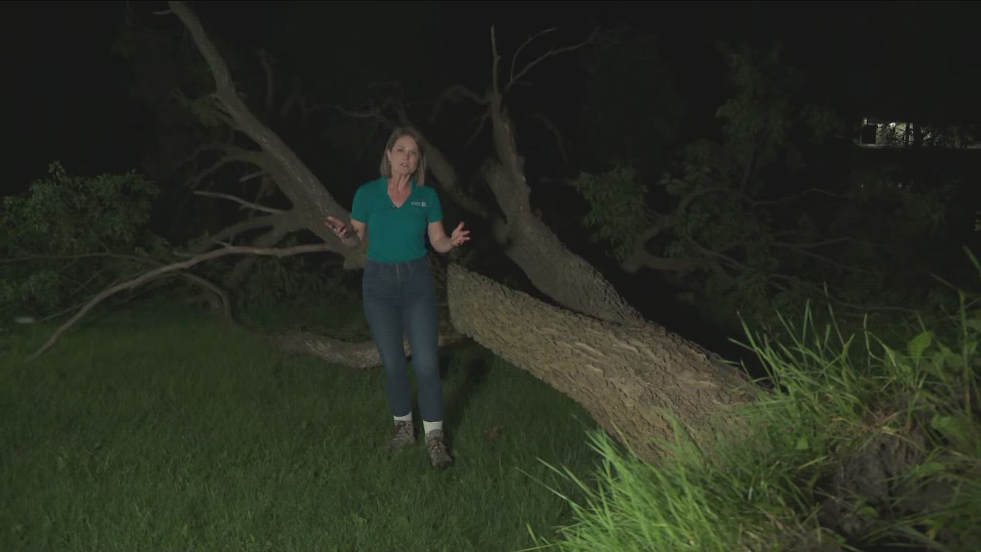 Heavy rains have caused flooding along the Mississippi River with trees uprooted because the ground is so saturated.
