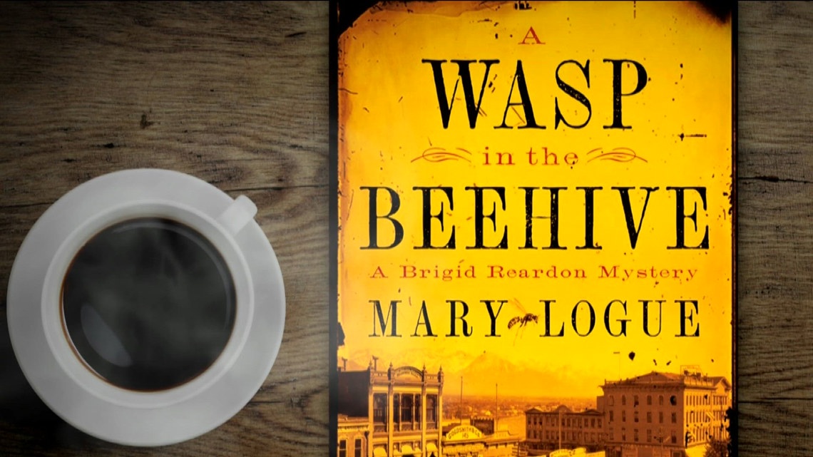 Minnesota author releases new book