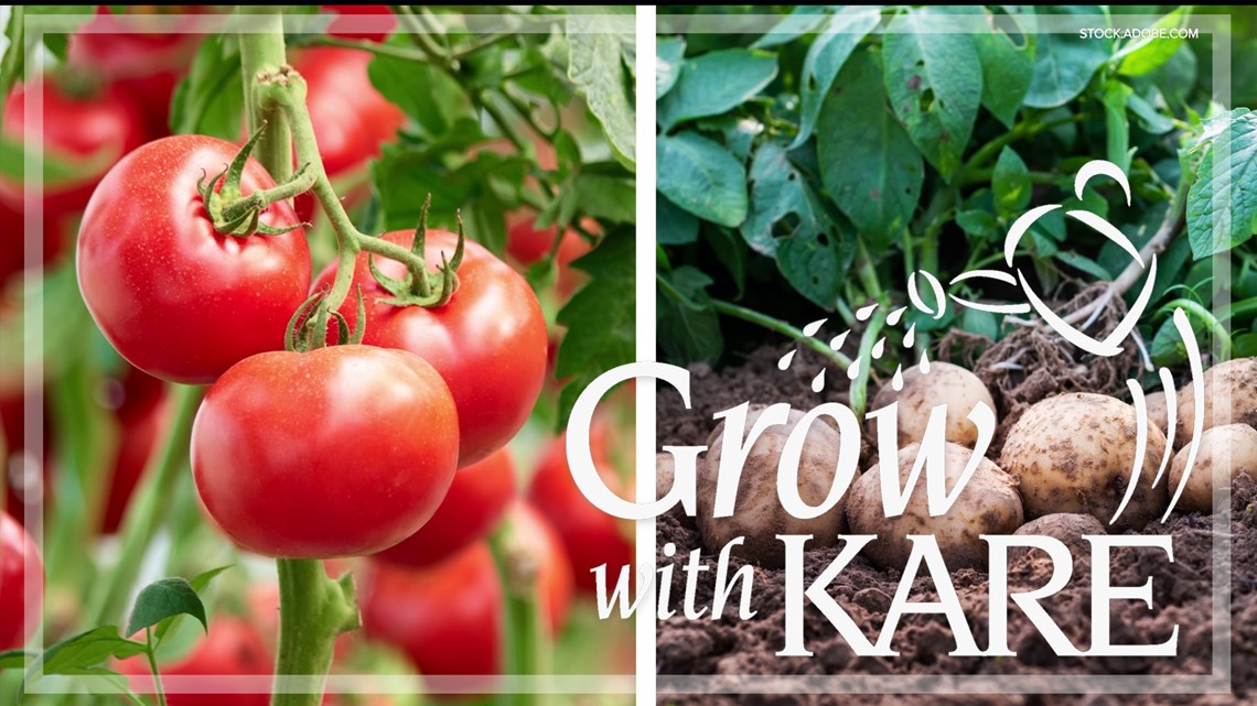 Grow with KARE: Companion planting & combinations to avoid