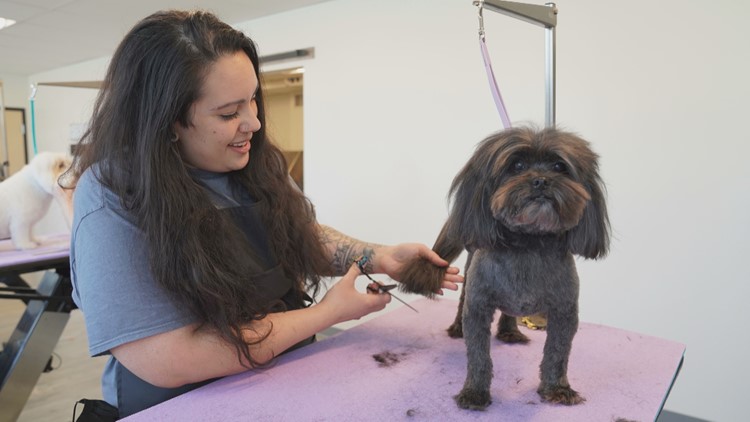New dog salon in St. Louis Park has opportunity to help the next small business