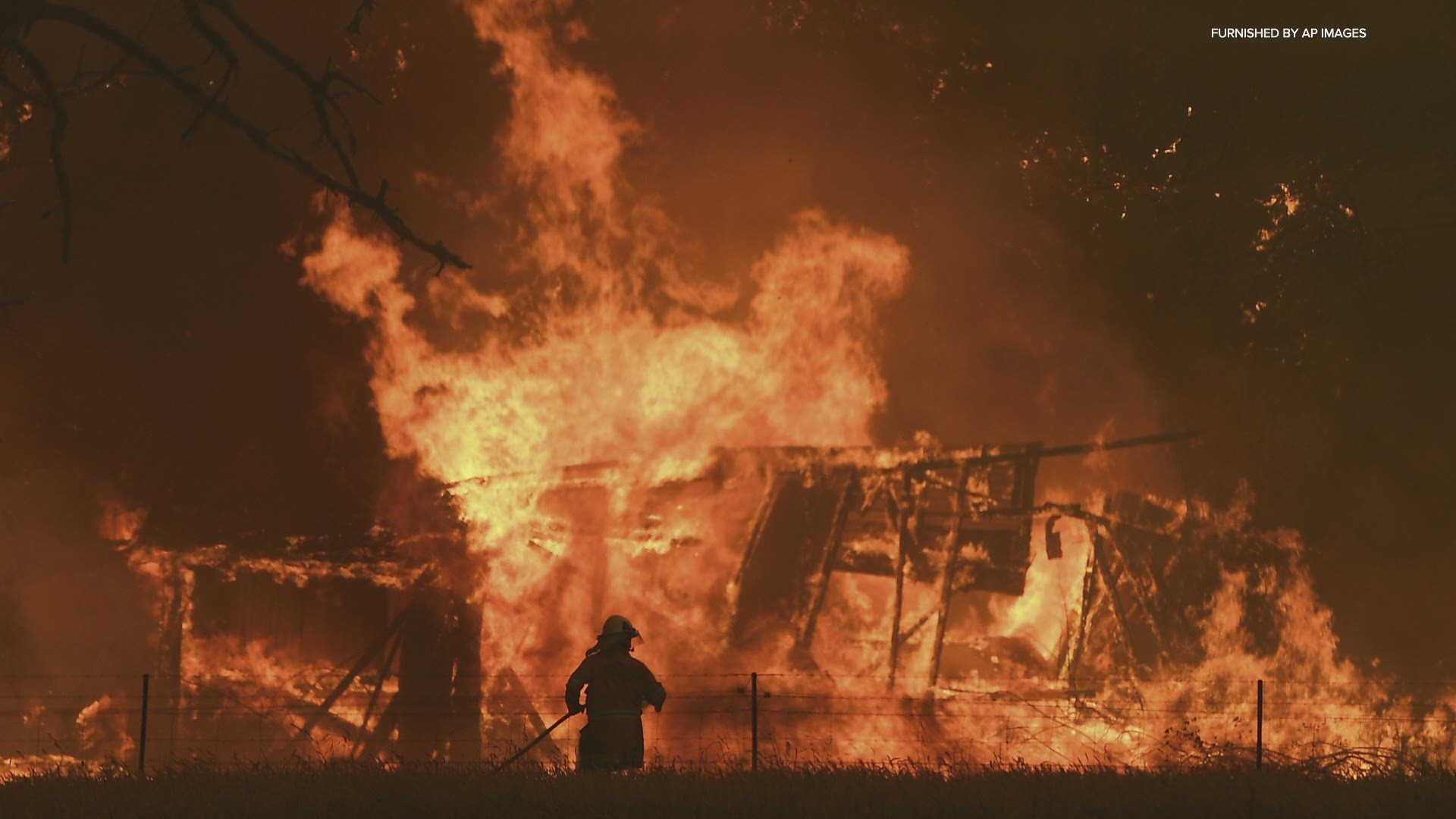 "I've got a 90-year-old dad who lives by himself on the Central Coast and he's never see anything like this in his life," Coral Wilkins said.