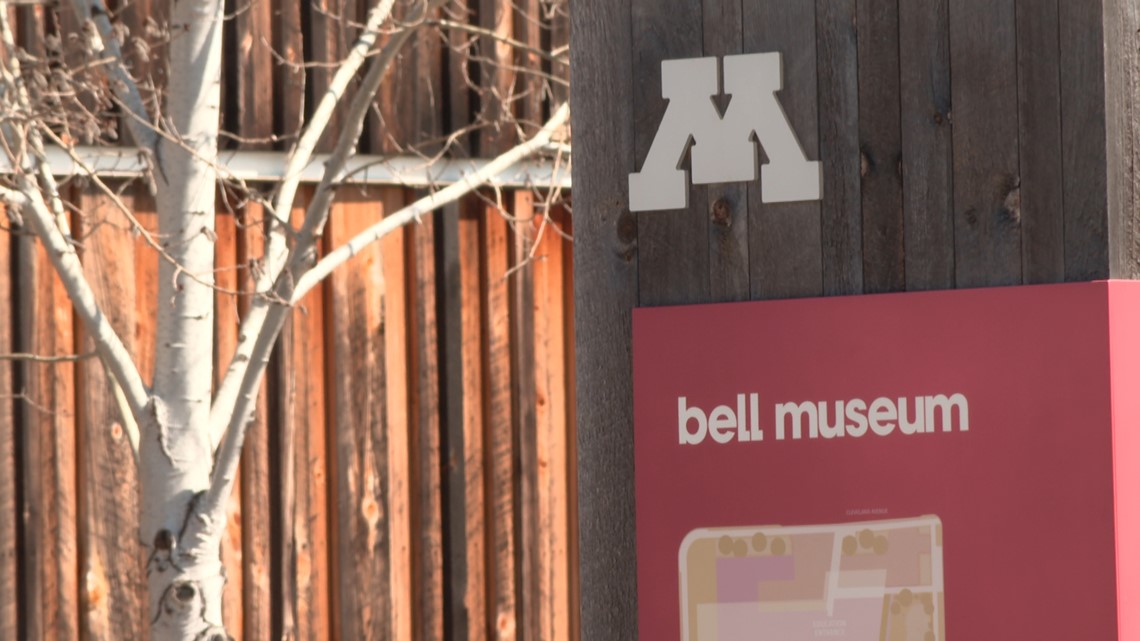 Bell Museum hosting eclipse watch party Monday - Vimarsana News