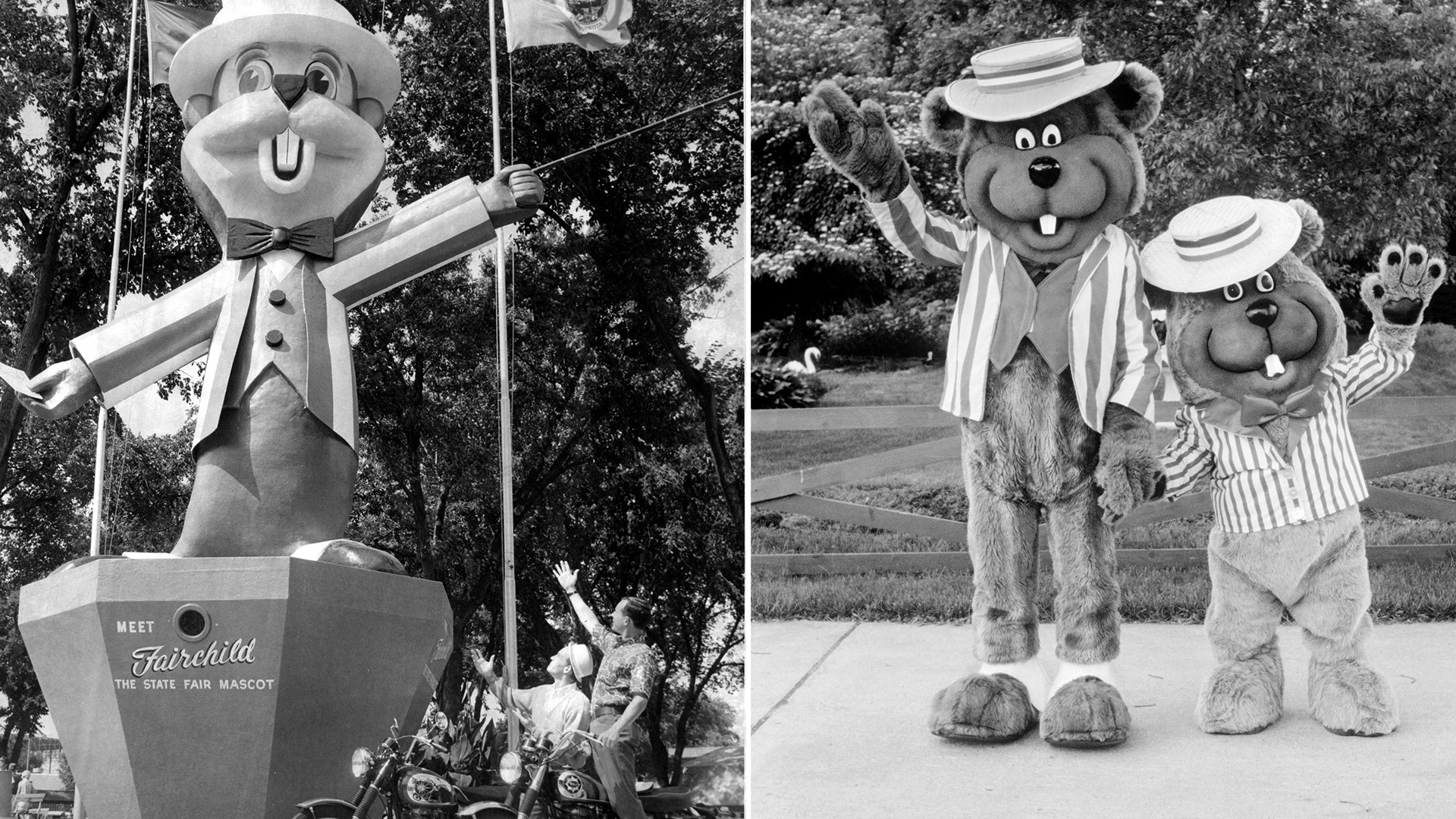Fairchild & Fairborne: History of the MN State Fair's mascots | kare11.com