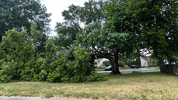 Heavy rain & strong winds cause downed trees, power outages in metro
