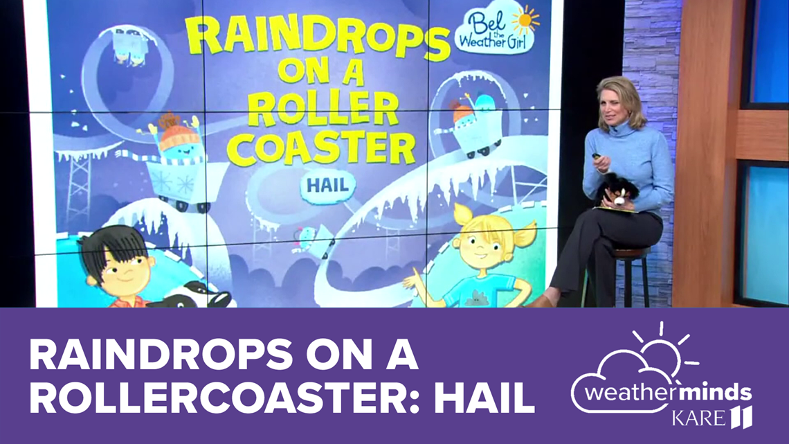 WeatherMinds Books: Raindrops on a Rollercoaster