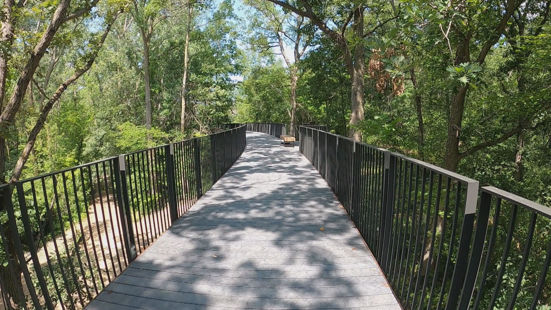 The Treetop Trail opens Friday, July 28. It gives a birds-eye view of the zoo critters and winds for more than a mile.