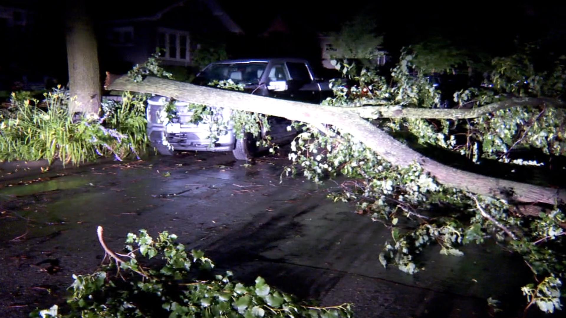 Grow with KARE Top Ten Annuals