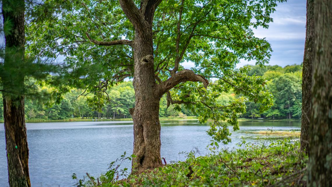 Survey ranks Minnesota as eighth-safest state in America