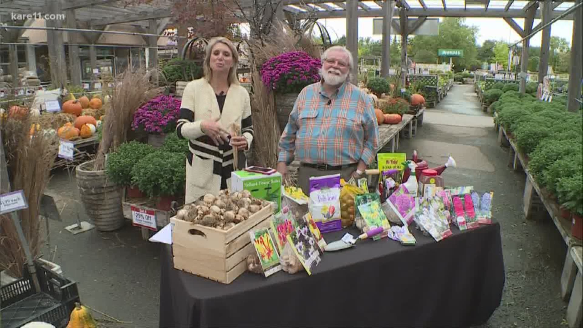 Grow with KARE: Tulips that come back!
