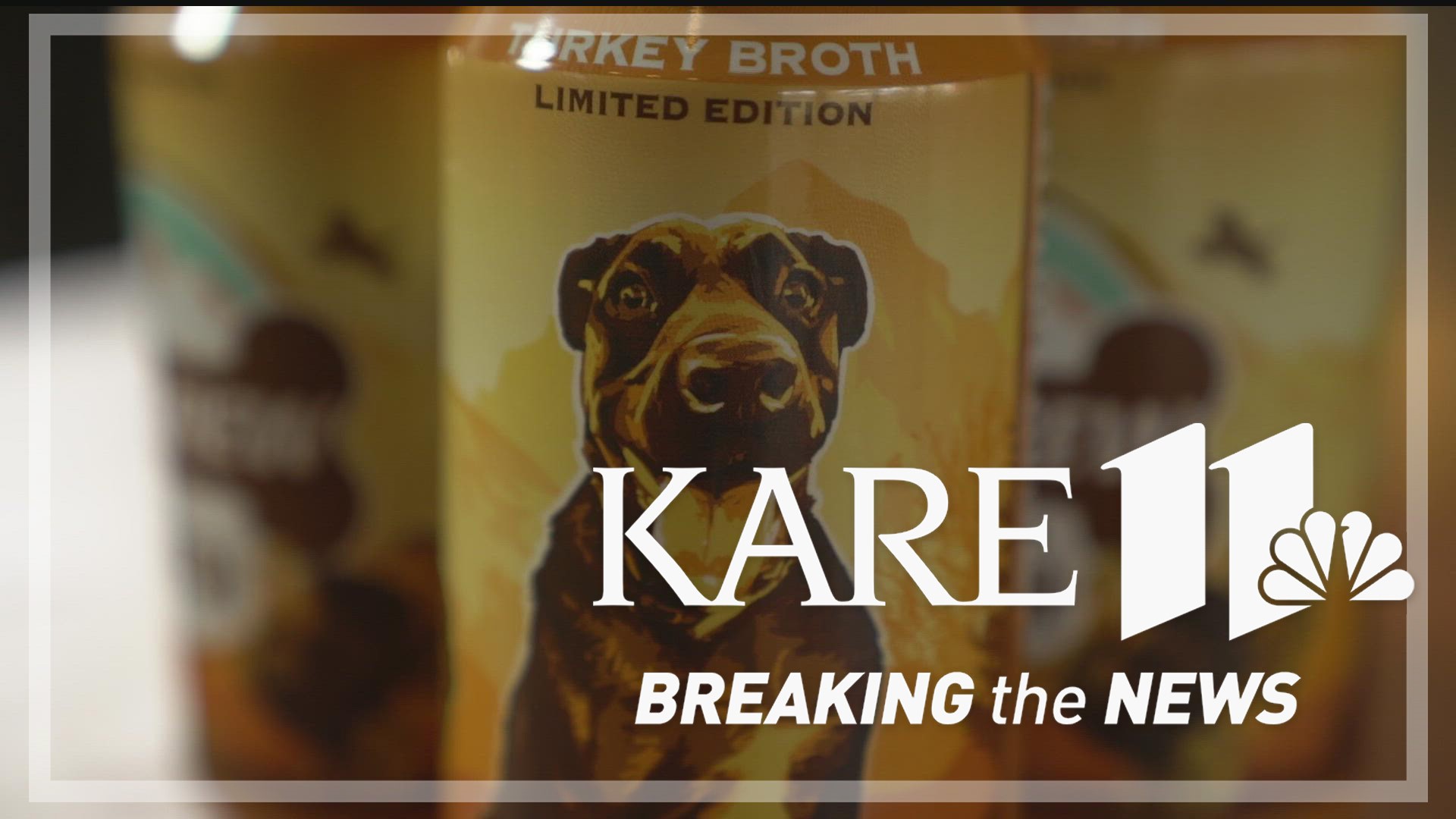 The face of Busch's new Thanksgiving-themed dog brew is Kira, a mastiff lab mix, who is 100% Minnesotan.