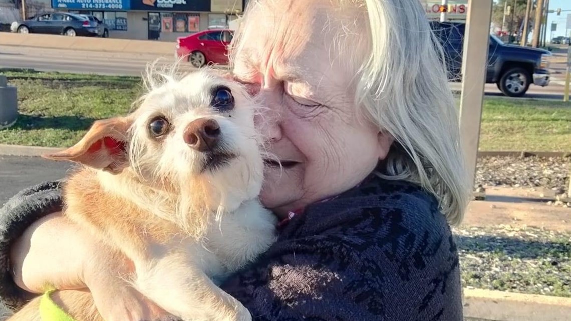 Twin Cities rescue reunites senior dog with owner in Texas - Vimarsana News