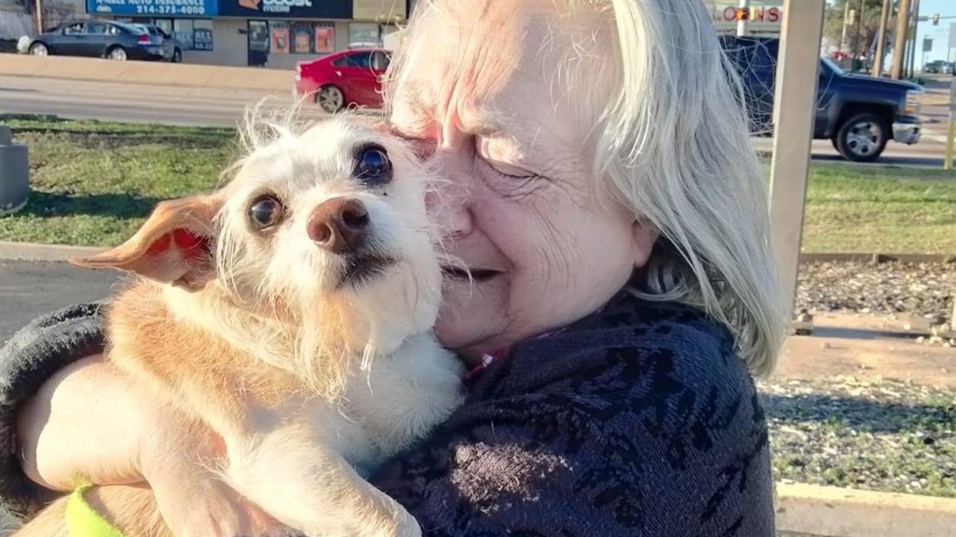 Twin Cities rescue reunites senior dog with owner in Texas