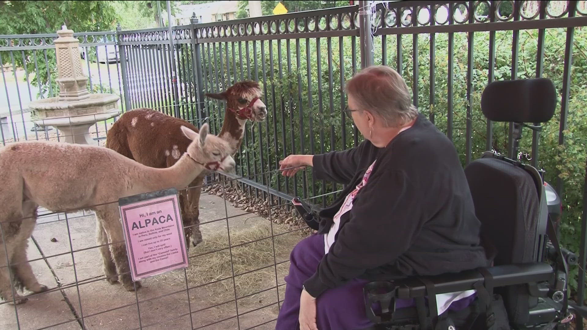 Unfortunately, not everyone can get out to enjoy the Minnesota State Fair. That's why the fair came to them on Thursday.