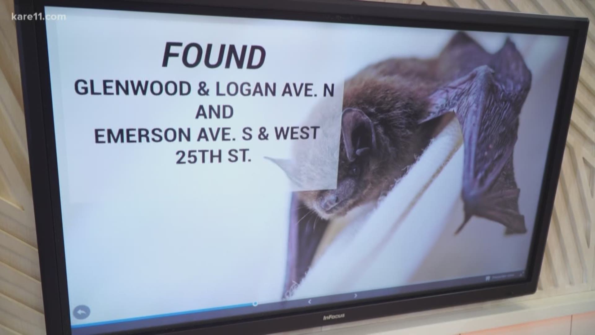 Minneapolis animal control says one rabid bat was found in the Lowry Hill East neighborhood, and another in Near North. https://kare11.tv/2XFumOd