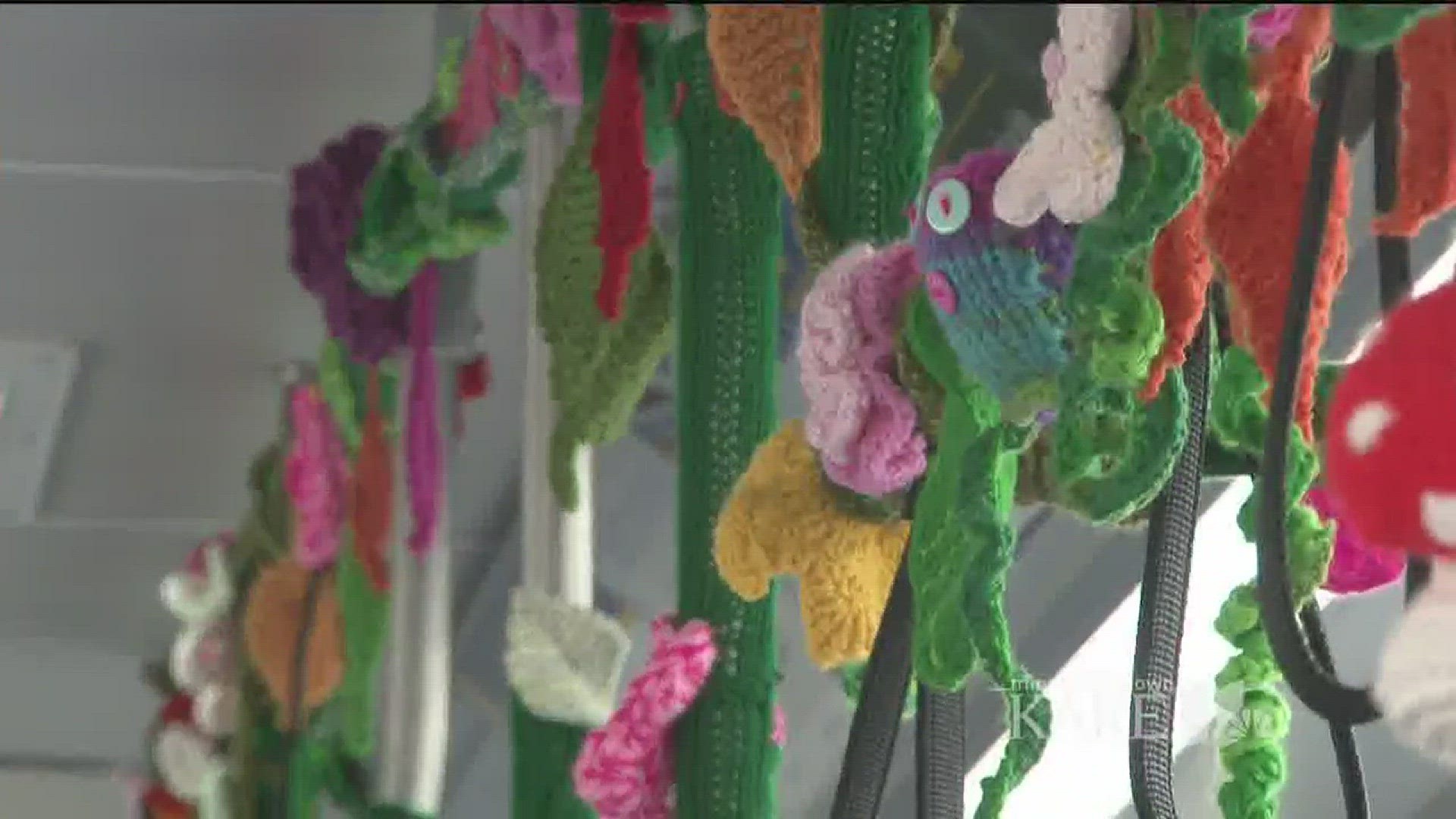 Take a ride on Metro Transit's Yarn Bus. It's da bomb!