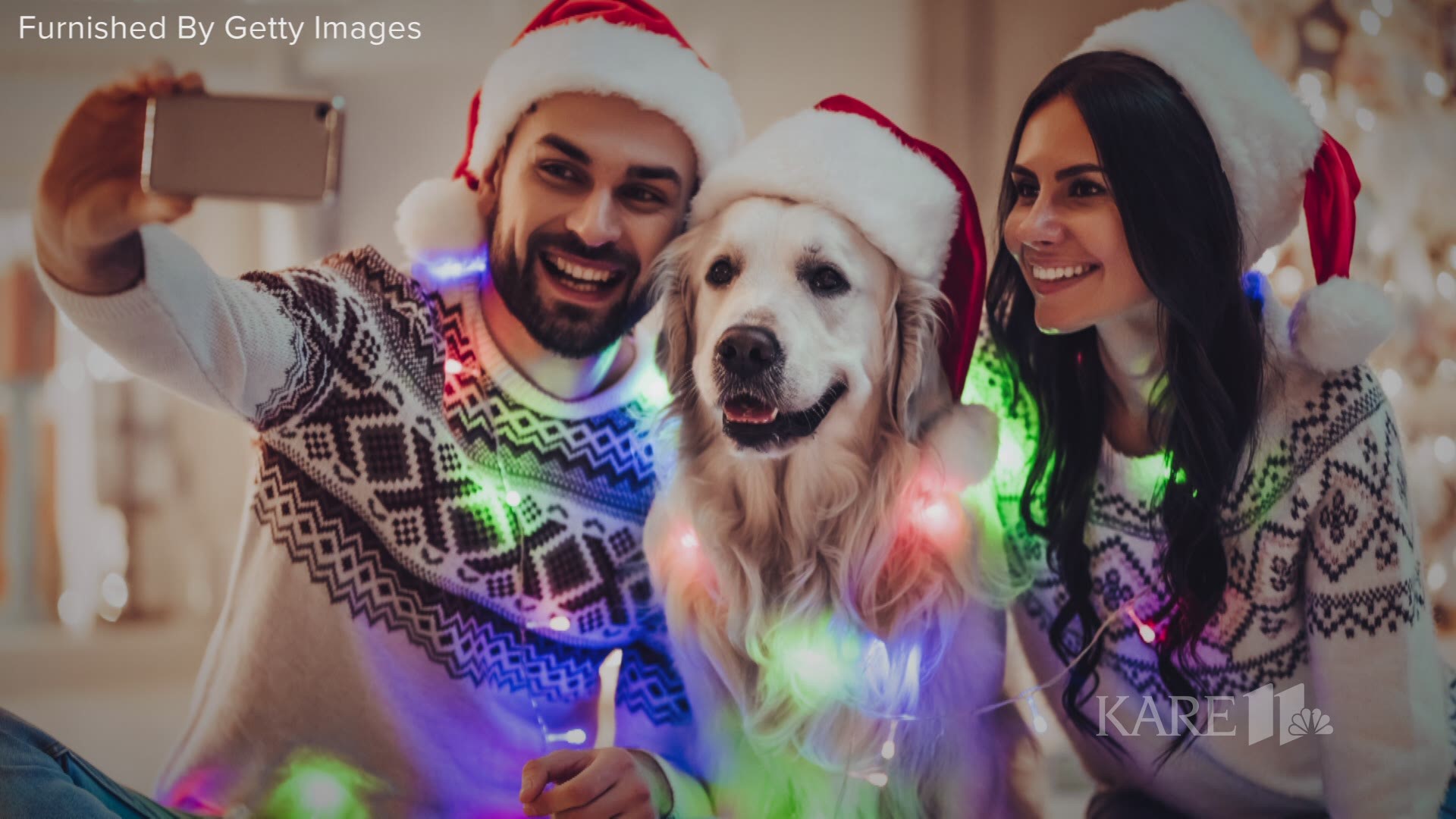 A New Leash in Minneapolis offers a 4 week course that also includes fun tricks that you can show off to your guests. Click here to visit A New Leash's website: http://bit.ly/2PV7aUe .