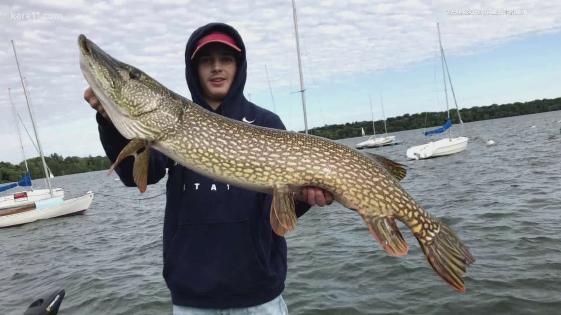 Teen angler reels in monster pike on Lake Harriet