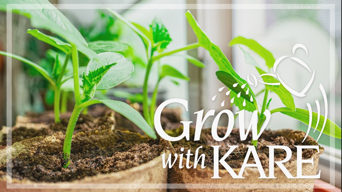 Grow With KARE: Starting Seeds! | Kare11.com