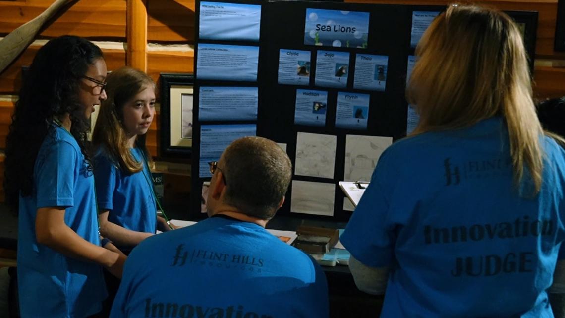 Students design sea lion habitat ideas in Minnesota Zoo STEM challenge