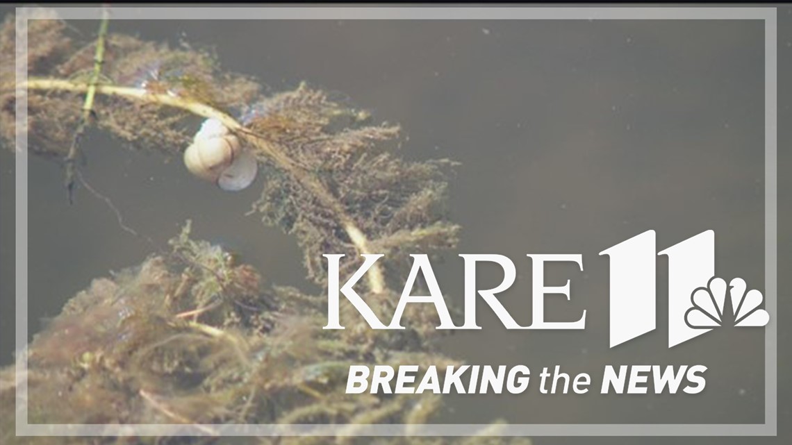 Help look for invasive species in Minnesota lakes next weekend