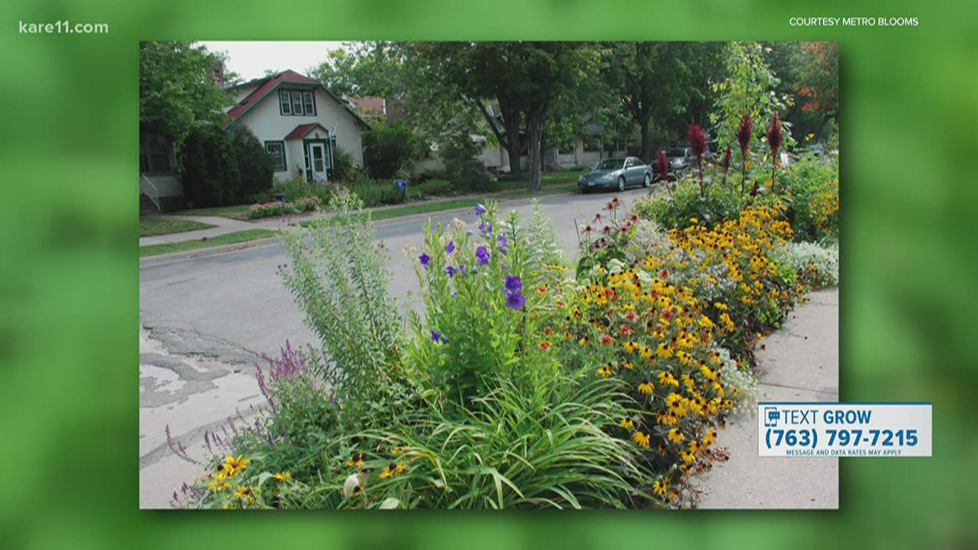 Boulevards typically provide harsh growing conditions. But there are plenty of flowers that can survive and thrive to create a beautiful boulevard garden