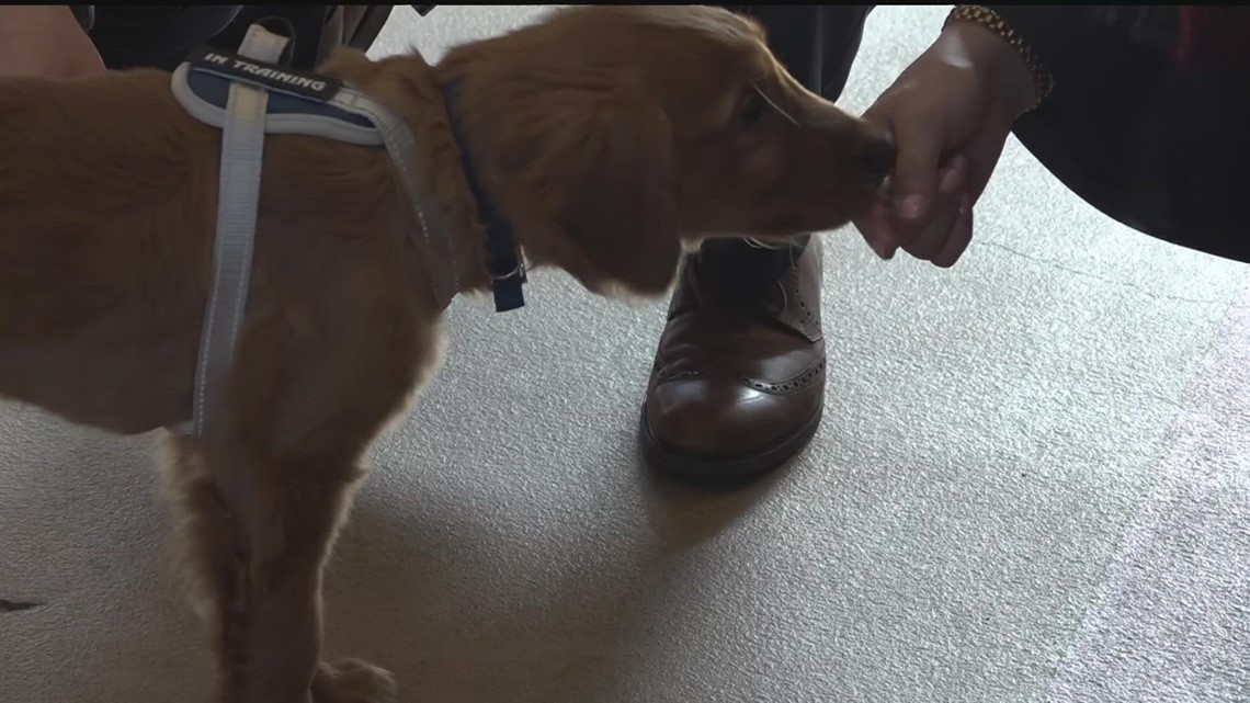 Brooklyn Center welcomes new emotional support animals - Vimarsana News