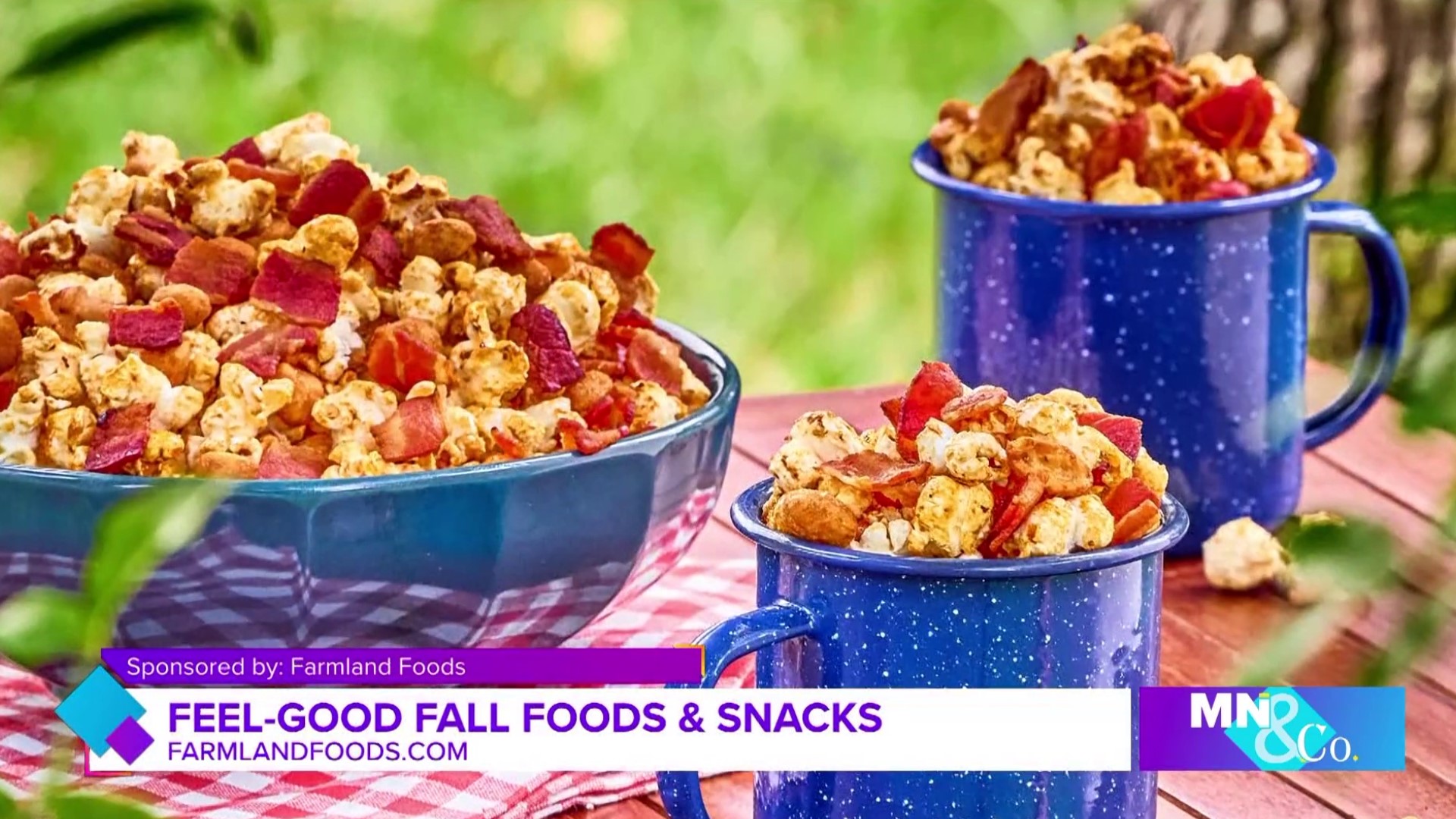 Farmland Foods joins Minnesota and Company to discuss their new seasonal Fall foods, from Maple Bacon Kettle Corn to Mom-Approved Mini Cans.