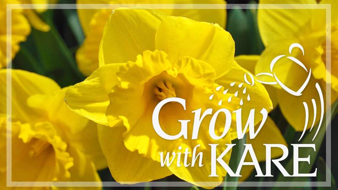 Grow with KARE: Early spring flowers