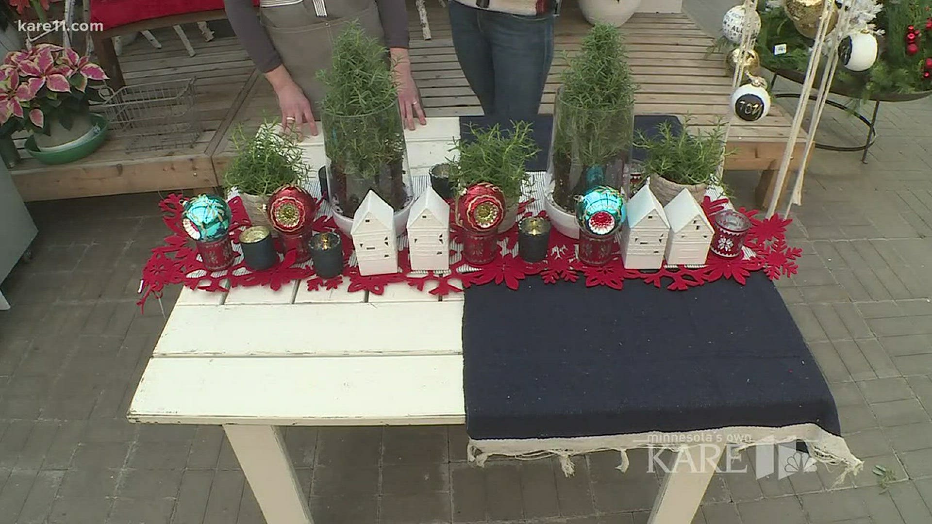 Jessie from Tonkadale Greenhouse helped us create unique looks for holiday mantels with many things you might have in your house already. http://kare11.tv/2kcJRr2