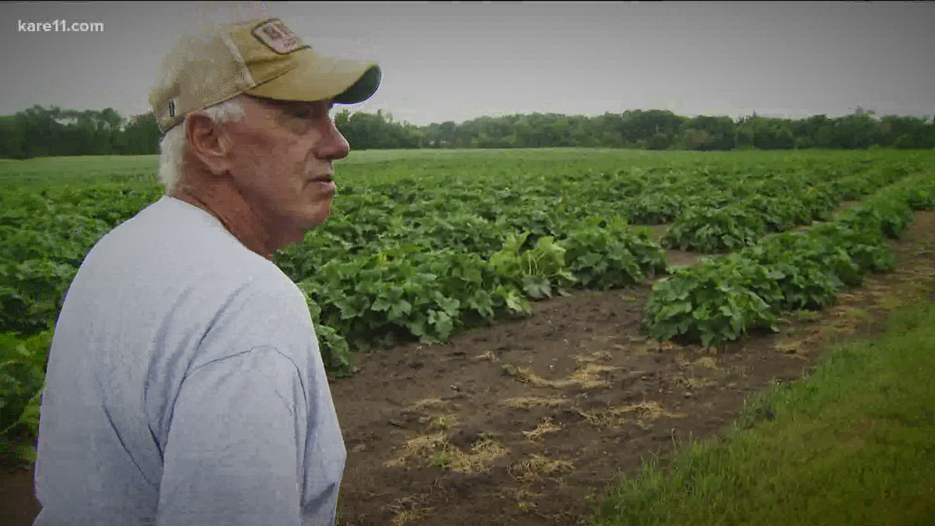 Wednesday's rainfall was welcome news for farmers, who've been dealing with a long drought.
