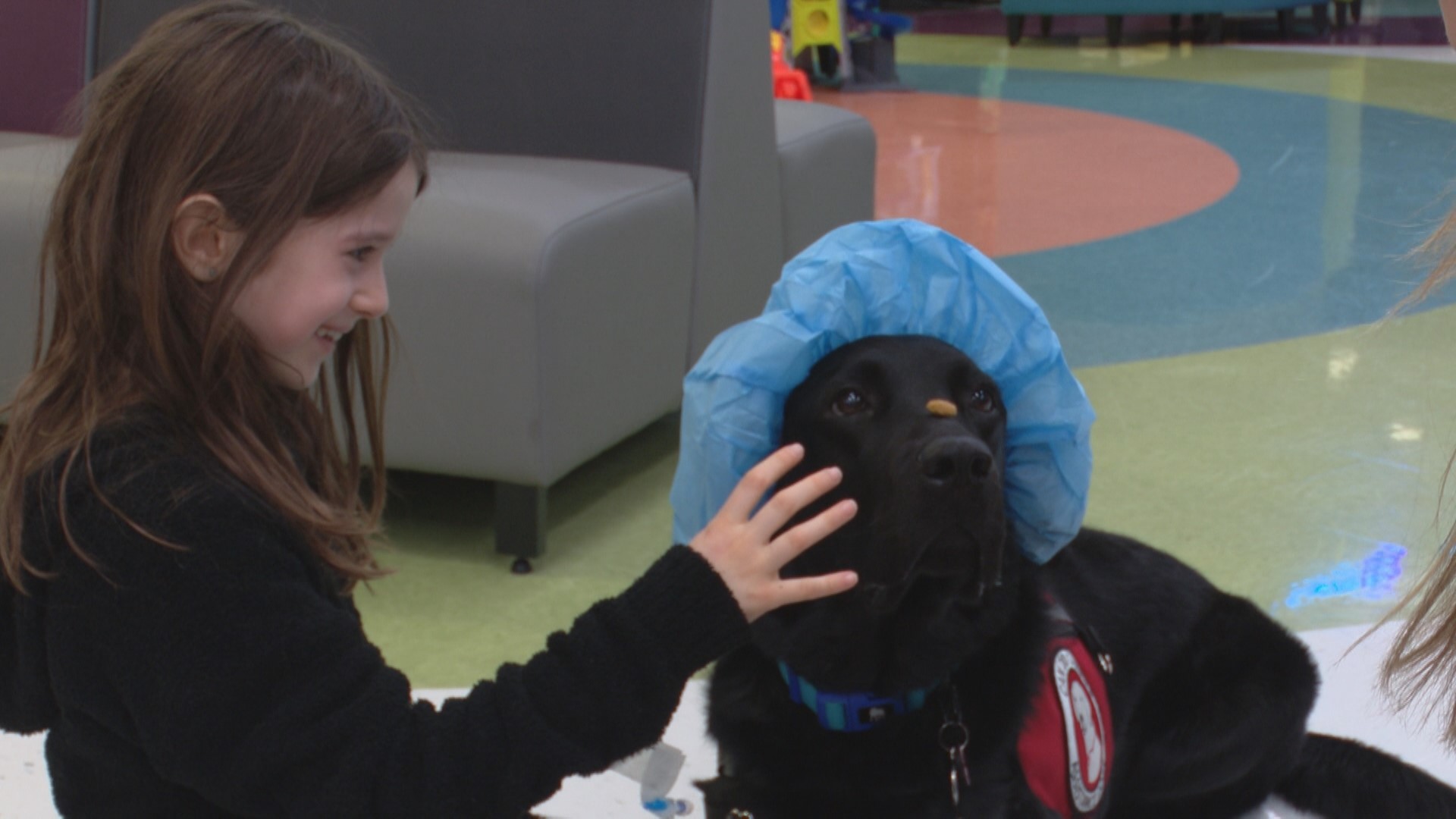 One of the hospital's newest "dog-ters" is already helping patients.