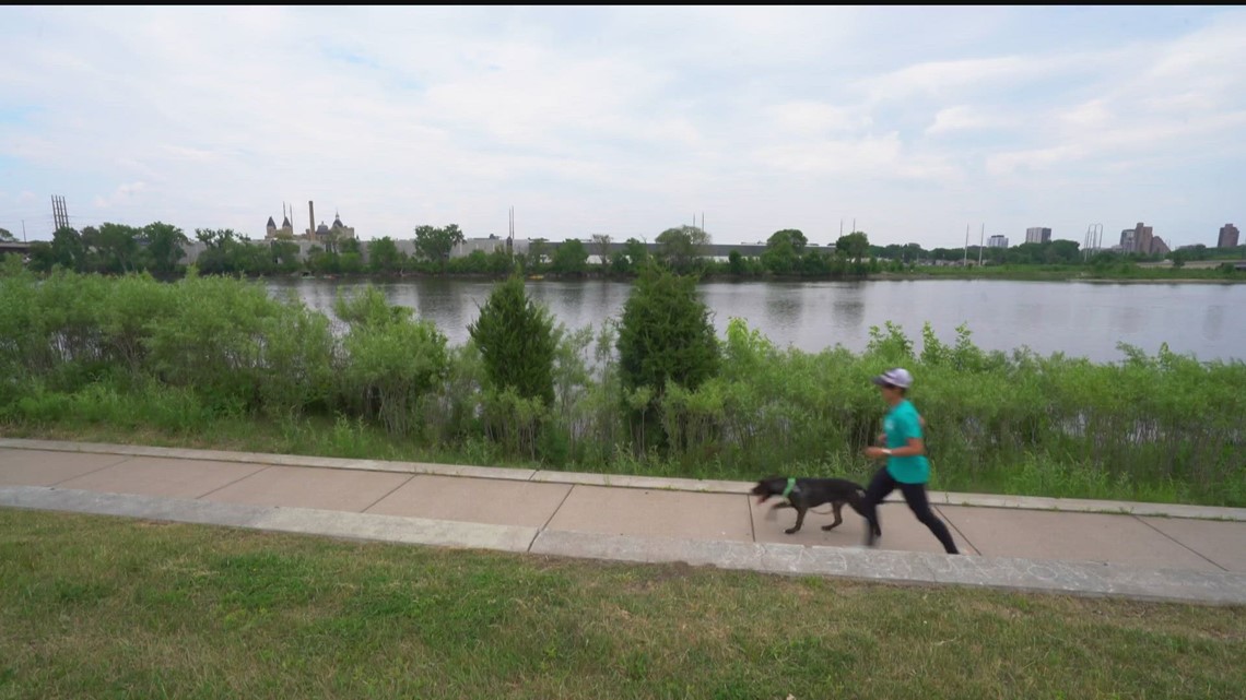New dog running club taking the pound to the pavement
