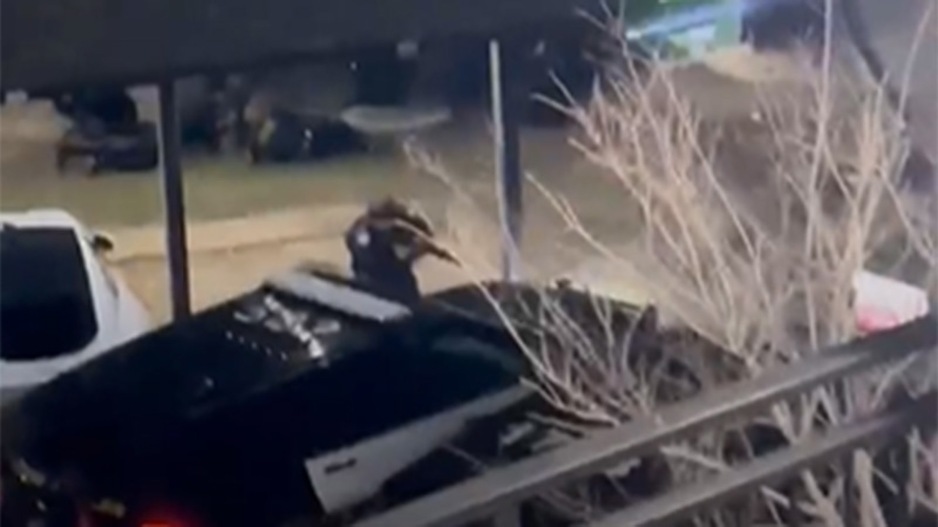 7 officers shot in San Antonio; suspect dies after standoff, SAPD says ...