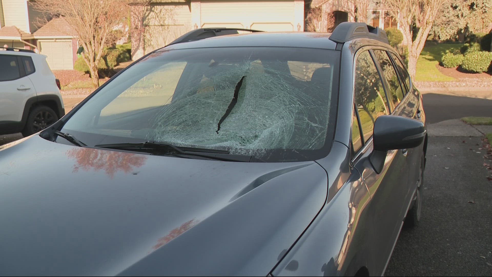 The driver said the water absorbent beads caused over $1,000 in damages to his car.