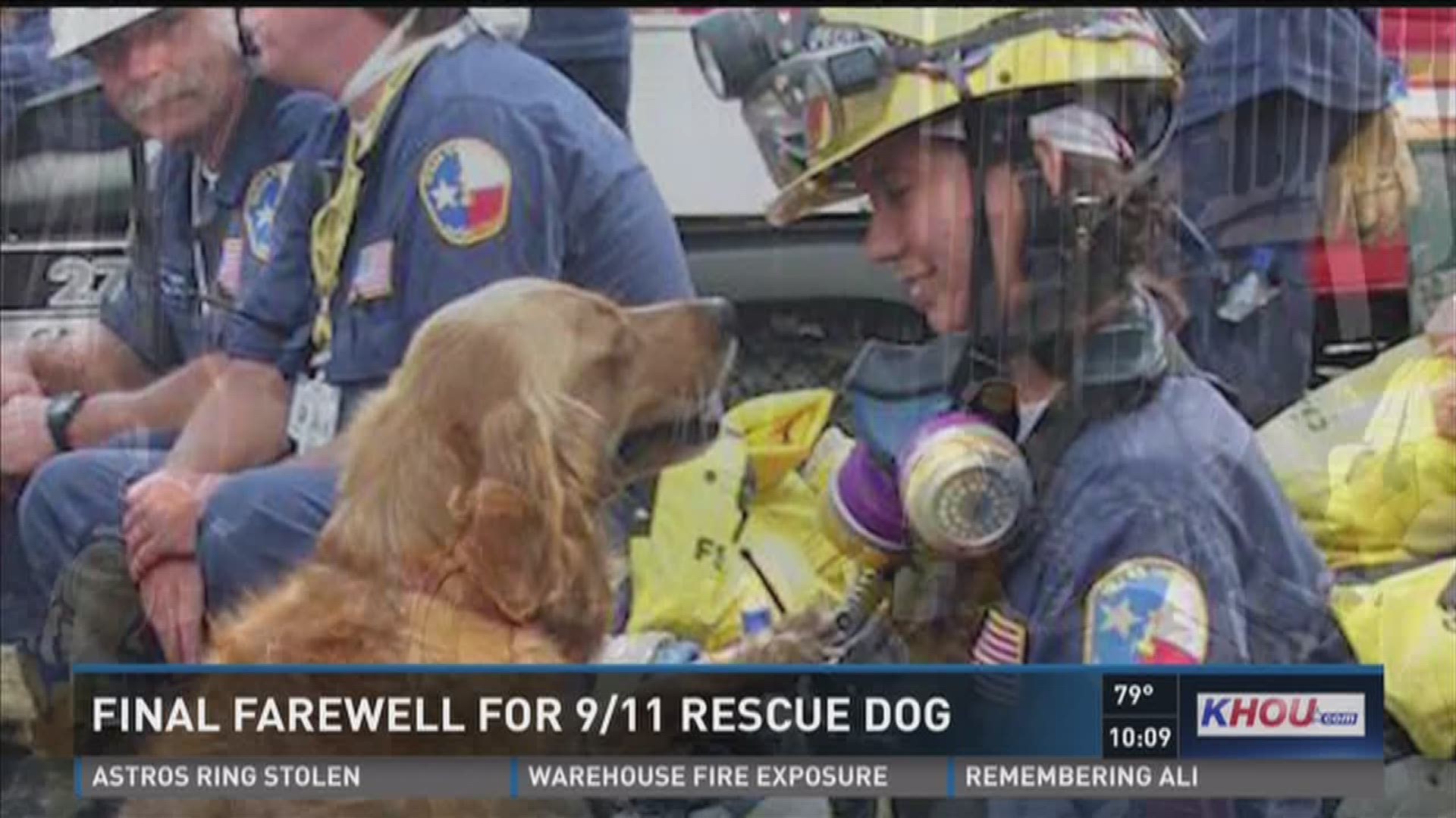 Bretagne, the last surviving search-and-rescue dog from 9/11, was put to sleep Monday in Cypress at 16 years old.