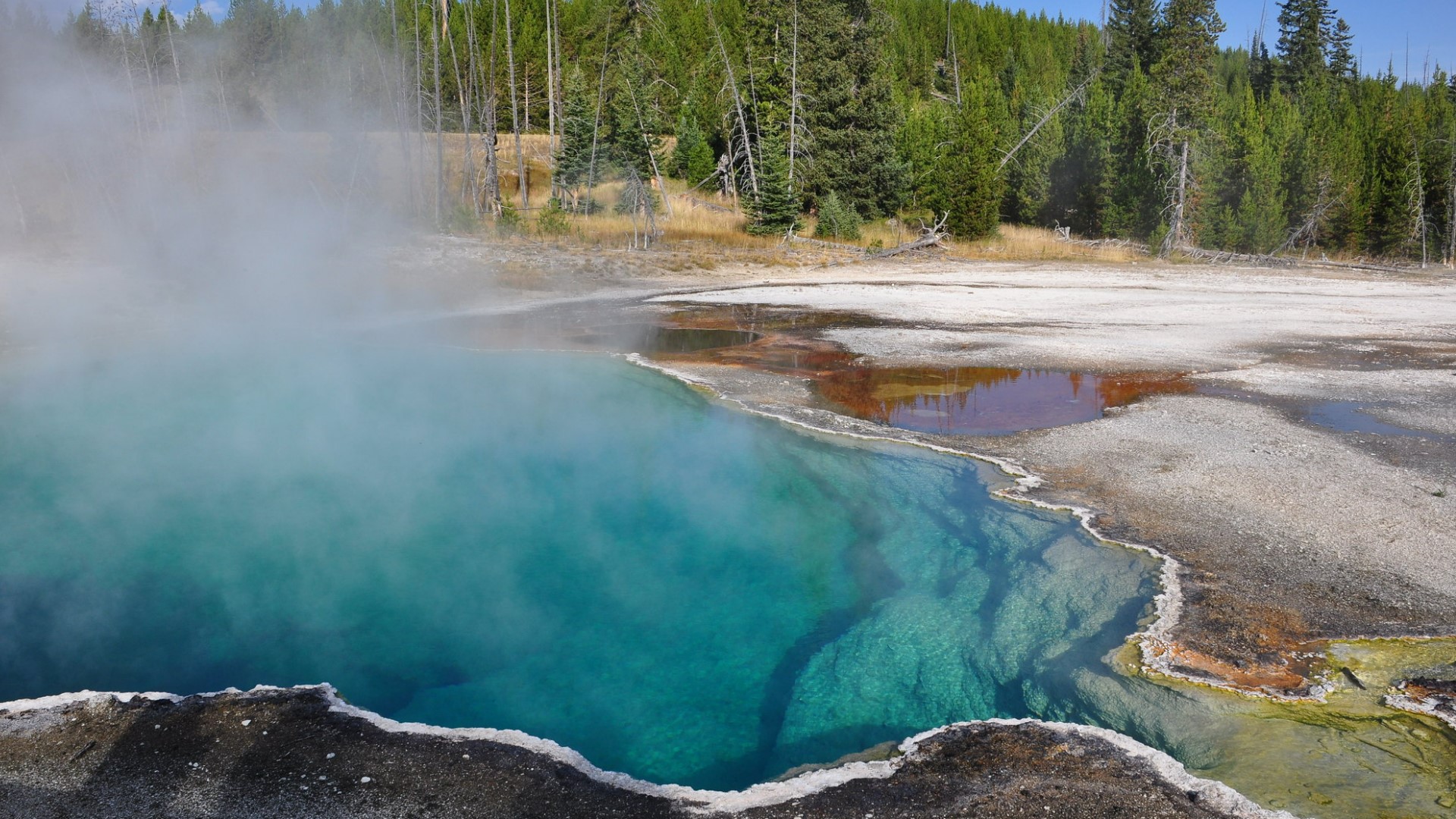 Trash, treasures, oddities: Take a look at lost items found at Yellowstone National Park