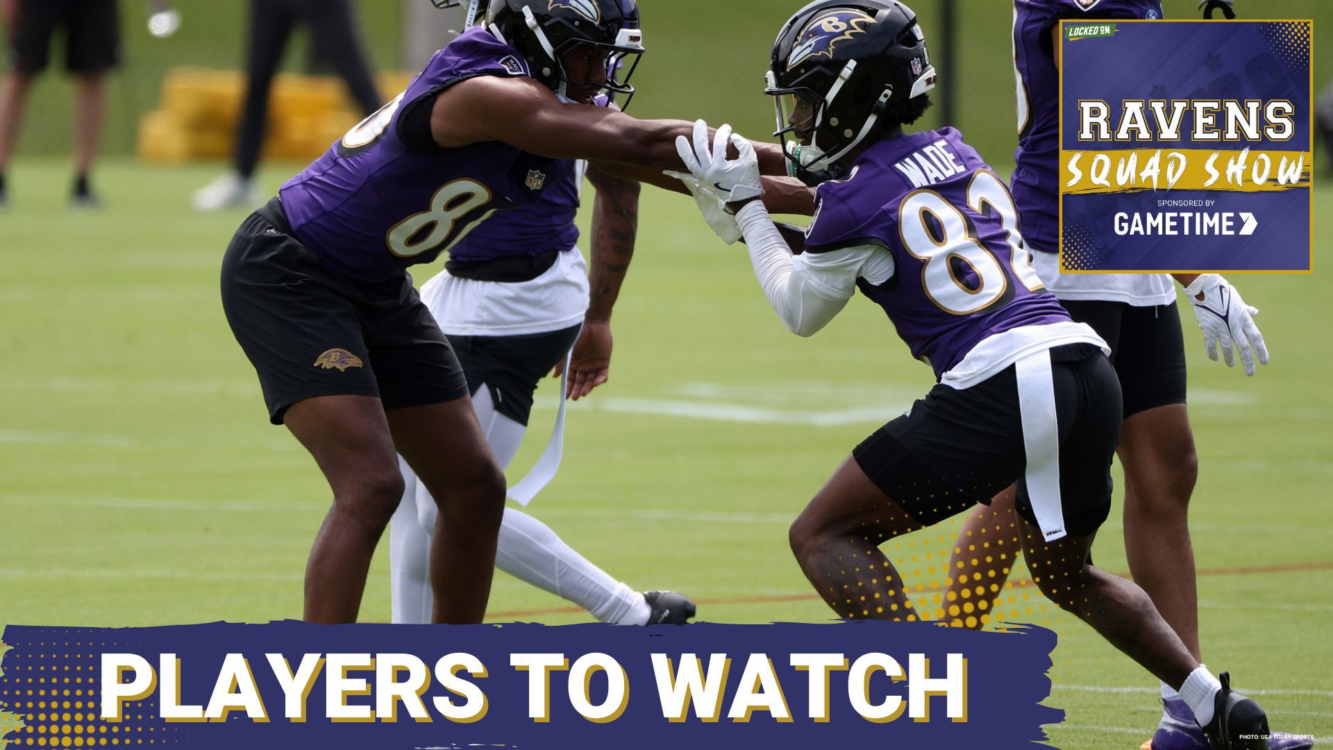 Baltimore Ravens veterans report to training camp on July 22nd and the Ravens Squad will discuss who are the players fans should keep an eye on.