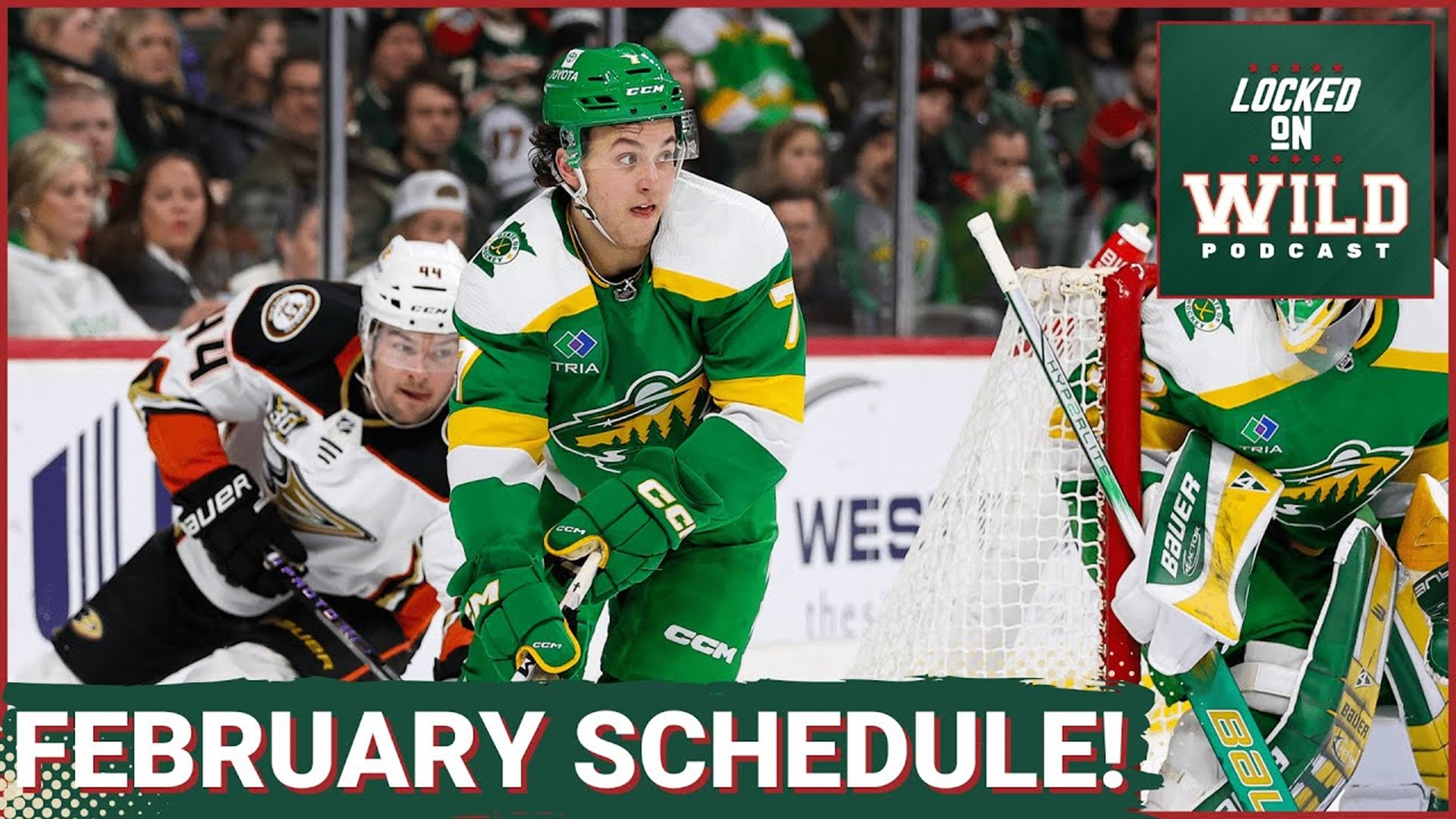 An In Depth Look at the February Wild Schedule!