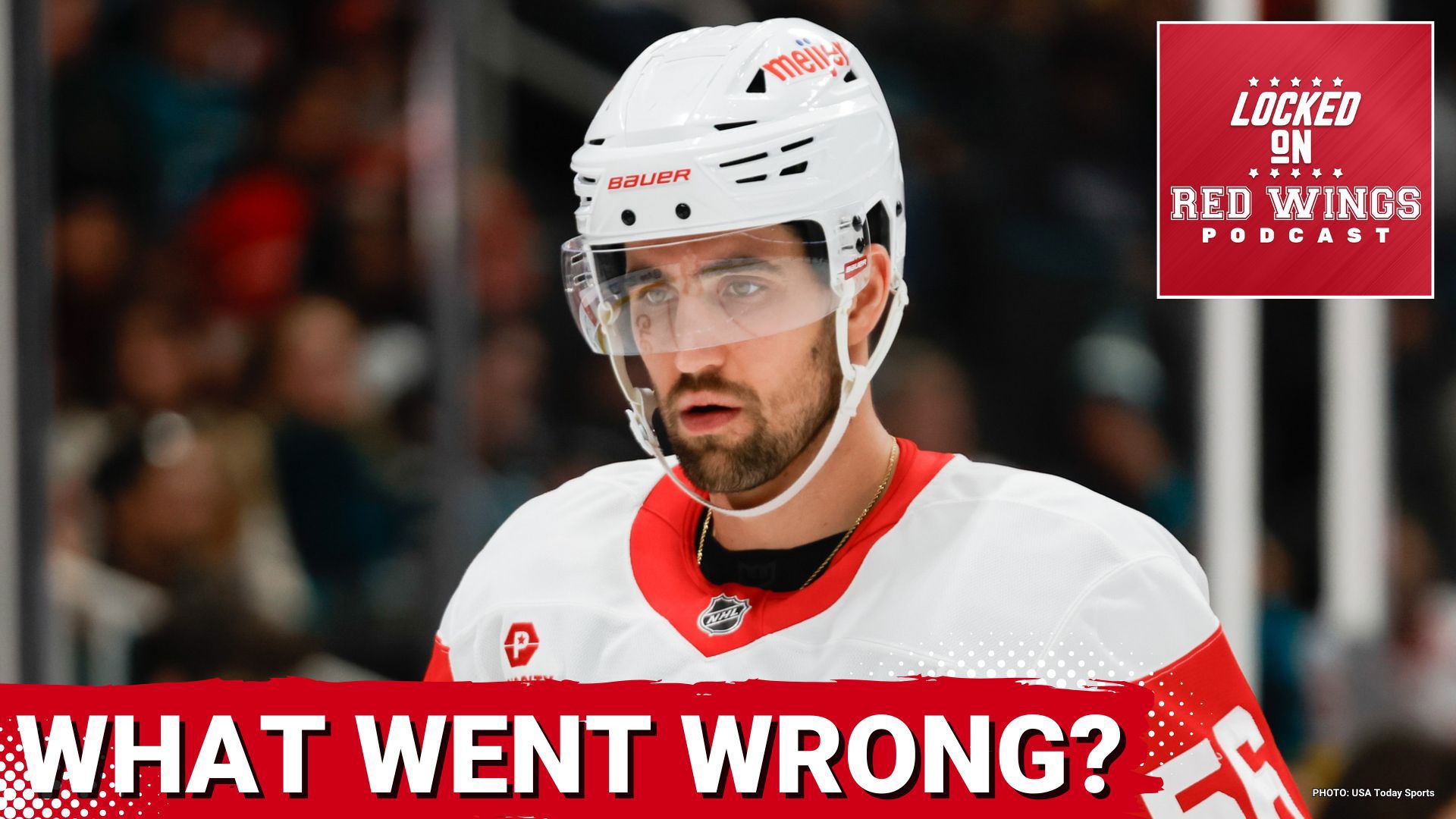 The Detroit Red Wings finished with 5 fewer points than the season prior, what went wrong?