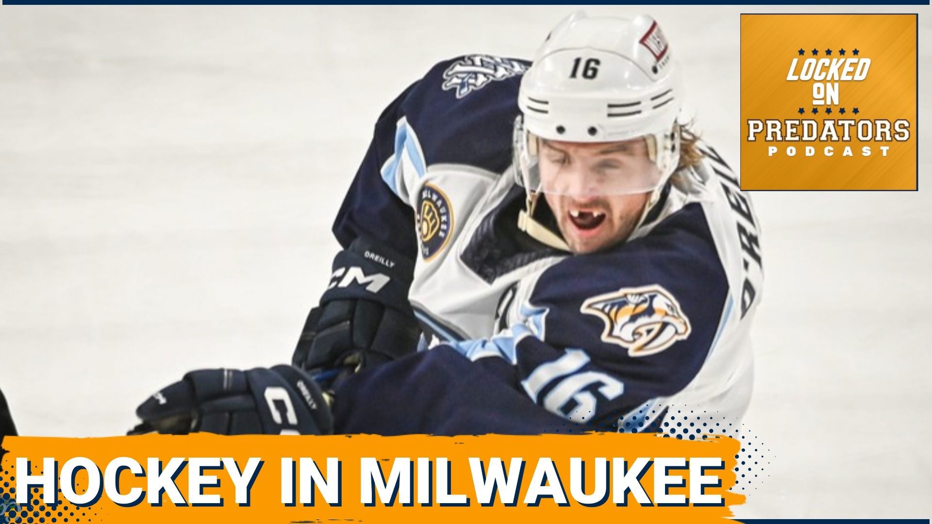 The Milwaukee Admirals (Nashville Predators' AHL affiliate) will take on the Rockford Ice Hogs (Chicago Blackhawks' AHL affiliate) in the Central Division Semifinals
